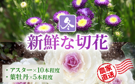 [先行予約]花農家直送 新鮮な切花[冬] / 生花 お花 旬の花束 豊かな生活 花のある生活 15本程度 2種 季節 花 ※2026年12月下旬以降発送予定 [aw099-a004]