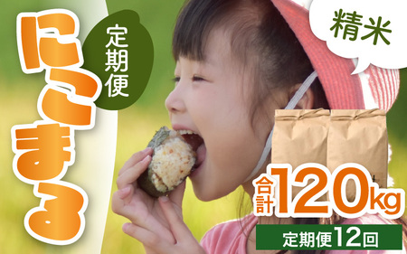 �y�ߘa7�N�Y �V�āz����ցs12�����A�����͂��t���� �ɂ��܂� 10kg �i5kg×2�܁j�v120kg ����_��͔|�� �^ ���i�� �N�x���Q ���䌧 �����s�Y �u�����h�� ���� ���� �� [aw066-o001]