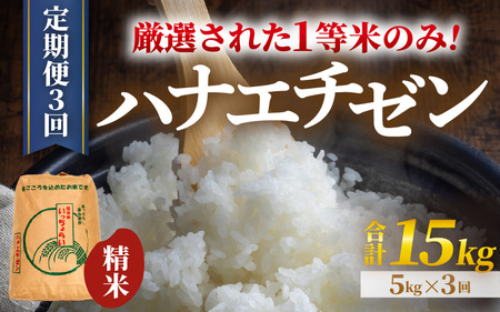 [先行予約][令和8年産・新米][一等米][定期便3回] ハナエチゼン 精米 5kg × 3回(15kg)[発送直前精米!] / 福井県産 ブランド米 ご飯 白米 お米 コメ 新鮮 大賞 受賞 新米 ※2026年9月上旬以降順次発送予定 [aw012-c008]