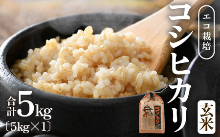 [先行予約][令和8年産 新米]エコ栽培コシヒカリ 玄米5kg / 鮮度抜群 福井県産 こしひかり ご飯 新鮮 玄米 ※2026年10月上旬以降順次発送 [aw063-a013]