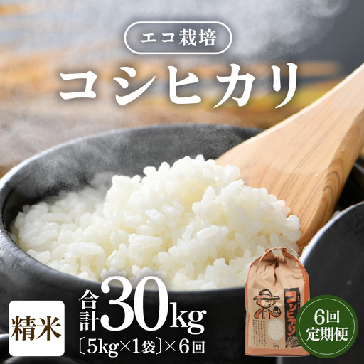 【先行予約】【令和8年産 新米】エコ栽培コシヒカリ  白米5kg×6回 計30kg ／ 鮮度抜群 福井県産 こしひかり ご飯 新鮮 白米 ※2026年10月上旬以降順次発送 [aw063-f005]