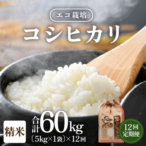 【先行予約】【令和8年産 新米】エコ栽培コシヒカリ  白米5kg×12回 計60kg ／ 鮮度抜群 福井県産 こしひかり ご飯 新鮮 白米 ※2026年10月上旬以降順次発送 [aw063-k005]