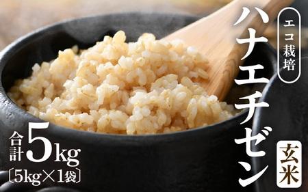 [先行予約][令和8年産 新米] エコ栽培ハナエチゼン 玄米5kg / 鮮度抜群 福井県産 はなえちぜん ご飯 新鮮 玄米 ※2026年9月上旬以降順次発送予定 [aw063-a015]