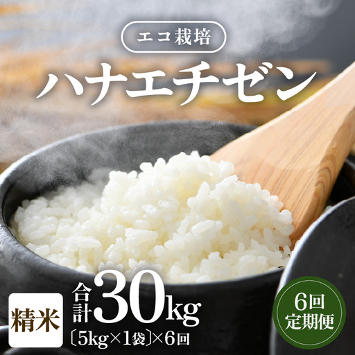 【先行予約】【令和8年産 新米】 エコ栽培ハナエチゼン  白米5kg×6回 計30kg ／ 鮮度抜群 福井県産 はなえちぜん ご飯 新鮮 白米 ※2026年9月上旬以降順次発送予定 [aw063-f007]