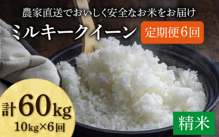 [先行予約][令和8年産 新米][定期便6回]ミルキークイーン 精米 10kg(5kg×2袋) JGAP認証米 / 米 10キロ 福井県産 ブランド 一等 ご飯 白米 お米 コメ 新鮮 小分け ※2026年10月上旬より順次発送 [aw094-k003]