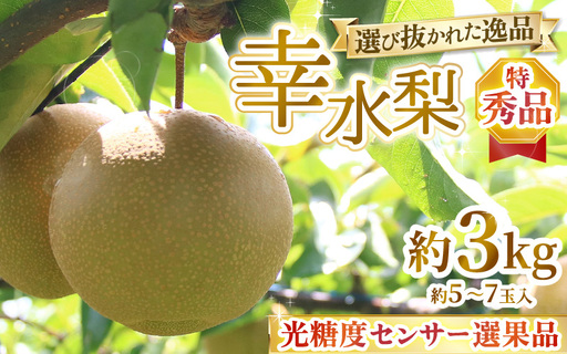 [先行予約]上野梨園の幸水梨 特選大玉 幸水梨『特秀品』選び抜かれた逸品 3kg 光糖度センサー選果品 梨園直送! / 期間限定 果物 フルーツ 農家直送 シャキシャキ もぎたて 旬 お取り寄せ ※2026年8月下旬より順次発送 [aw077-a028]