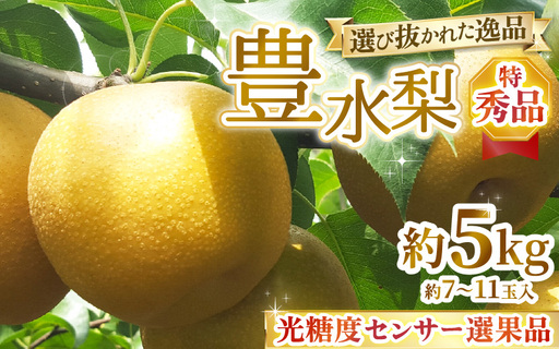 [先行予約]上野梨園の特選大玉 豊水梨『特秀品』糖度保証 5kg 光糖度センサー選果品 梨園直送! / 期間限定 果物 フルーツ 農家直送 シャキシャキ もぎたて 旬 お取り寄せ ※2026年9月上旬より順次発送 [aw077-b002]