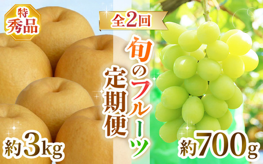 [先行予約]定期便 ≪2回お届け≫ 旬のフルーツ定期便 全2回 シャインマスカットと新興梨『特秀品』 梨園直送! / 期間限定 果物 フルーツ 農家直送 シャキシャキ もぎたて 旬 お取り寄せ ※2026年9月中旬より順次発送 [aw077-b004]