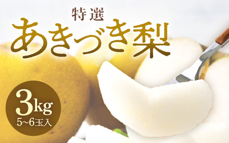 [先行予約][数量限定]あきづき梨 3kg 特選 5玉〜6玉入り もぎたて 新鮮 ※2026年9月中旬より順次発送予定 [aw042-a005]