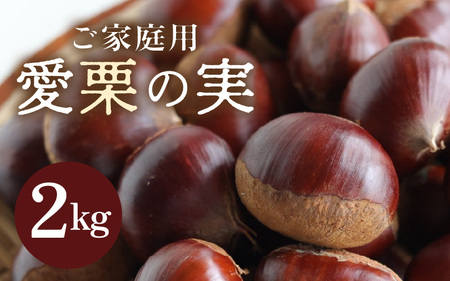 [先行予約][数量限定]愛栗の実 ご家庭用 2kg 新鮮 栗 甘栗 ※2026年9月下旬より順次発送予定 [aw042-a008]