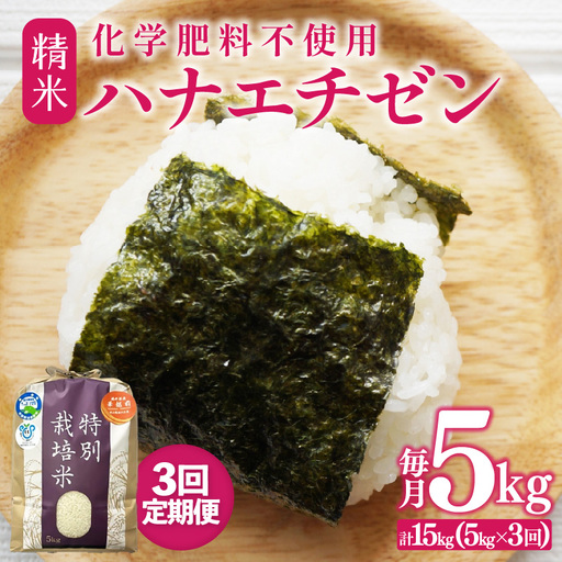 [先行予約][令和8年産][定期便3回]≪3ヶ月連続お届け≫ 化学肥料不使用 ハナエチゼン 精米 5kg × 3回(合計15kg)※2026年9月上旬より順次発送予定 [aw010-c022]
