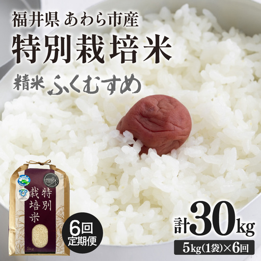 【先行予約】【令和8年産】定期便 ≪6ヶ月連続お届け≫ 化学肥料不使用 ふくむすめ 精米 5kg × 6回（合計30kg）※2026年10月上旬より順次発送予定 [aw010-f014]