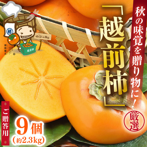 [先行予約][2026年10月下旬〜11月中旬に発送予定]秋の味覚を贈り物に!厳選「越前柿」大玉 9個(ご贈答用)/ 果物 フルーツ 産地直送 期間限定 ※2026年10月下旬〜11月中旬に発送予定 [aw031-a005_10]