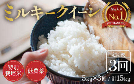 ys\zyߘa8NY Vāzցs3A͂t5kg×3 15kg ʍ͔| ~L[NC[  _ sHl85_ȏI萸āt / 䌧 s k   lC 