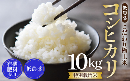 ys\zyߘa8NY Vāzʍ͔| RVqJ 10kg _ sHl85_ȏIɏāt / 䌧  k   lC i NxQ V 2026N9{菇