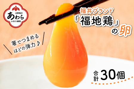濃厚で甘くておいしい！ 福井ブランド「福地鶏」の卵（30個）