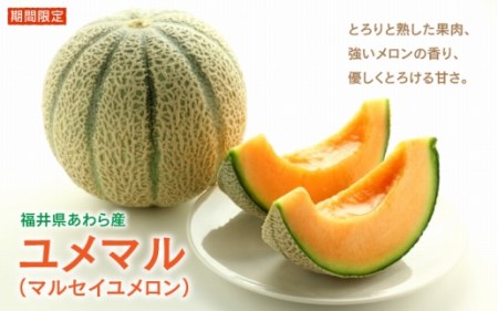 マルセイメロン 検索結果 ふるさと納税サイト ふるなび