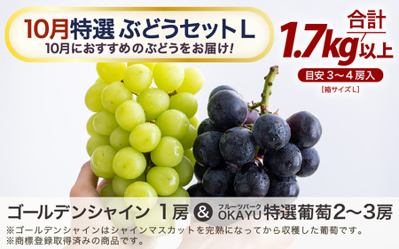 先行予約】【訳あり】10月特選 ぶどうセットL 1.7kg以上（3～4房