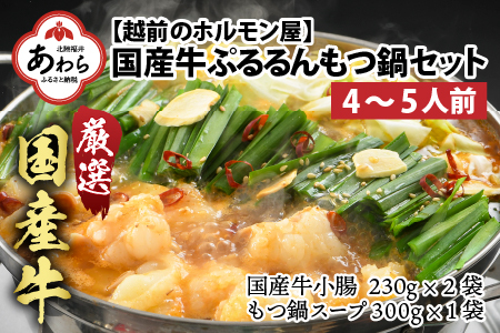 ぷるるんもつ鍋セット(約4〜5人前)越前のホルモン屋 国産牛 / 味噌 牛肉 モツ 小腸 ホルモン 冬 鍋 国産 国産牛 牛ホルモン おつまみ 冷凍 やみつき 人気 アウトドア キャンプ