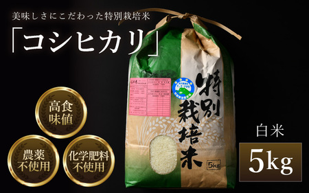 【先行予約】【令和6年産】コシヒカリ 精米 5kg 特別栽培米 農薬不使用 化学肥料不使用 ／ 高品質 鮮度抜群 福井県産 ブランド米 白米 新米 ※2024年9月下旬以降順次発送予定