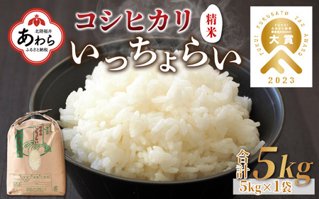 [令和6年産新米][一等米]いっちょらい 精米 5kg / 福井県産 ブランド米 コシヒカリ ご飯 白米 新鮮 大賞 受賞 新米 福井県あわら産