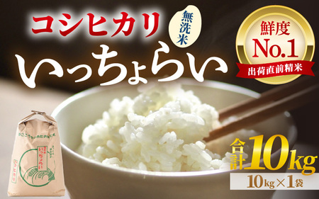 yߘa7NYEVāzyꓙāz炢  10kg×1 ^ 䌧Y uh RVqJ   VN   [aw012-b014]