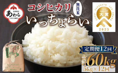 【令和6年産 新米】【一等米】《定期便12回》いっちょらい 無洗米 5kg（計60kg） ／ 福井県産 ブランド米 コシヒカリ ご飯 白米 新鮮 大賞 受賞