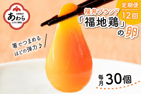 [12ヶ月連続お届け]福井ブランド「福地鶏」の卵 30個 濃厚で甘くておいしい!(15個入×2段)定期便