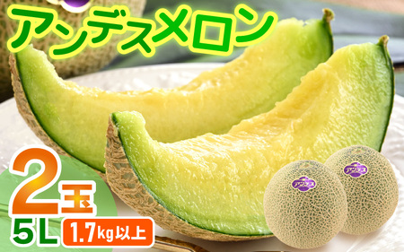[先行予約]アンデスメロン 2玉入 5L(1.7kg以上×2玉)高糖度で抜群の美味しさお届け!/ 果物 フルーツ 産地直送 ※2026年6月下旬以降発送 [aw067-a004]