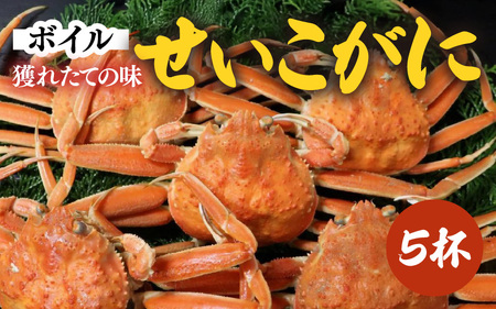 [先行予約]ボイルせいこがに 5杯 [ 獲れたての味!] /期間限定 茹で ボイル 冷蔵 蟹 カニ 福井県 あわら市 海鮮 冬 旬 ※2025年11月中旬〜2025年12月下旬の間で順次発送 [aw002-x001]