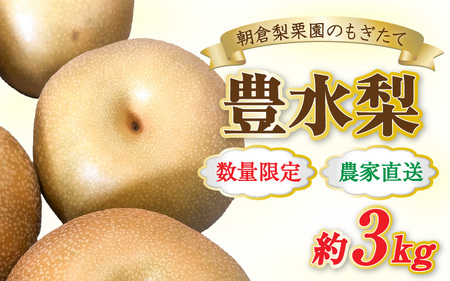【先行予約】《数量限定》豊水梨 7～8玉入 約3kg もぎたて 新鮮 ／ 期間限定 果物 フルーツ 農家直送 お取り寄せ 豊水 梨 なし 福井県 あわら市 あわら産 ※2025年9月上旬より順次発送予定 [aw042-a003]