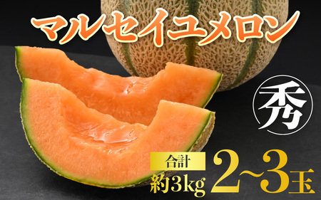 【先行予約】佐藤農園のマルセイユメロン 約3kg前後《秀品》(2～3玉入）深みのある甘さ とろける濃厚な赤肉！農家直送 有機肥料 低農薬 ※2025年6月上旬より順次発送予定 [aw069-a002]