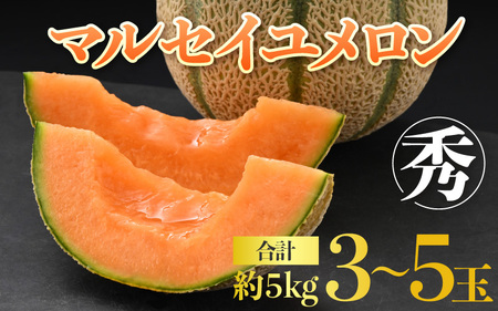 【先行予約】佐藤農園のマルセイユメロン 約5kg 秀品（3～5玉入）深みのある甘さ とろける濃厚な赤肉！農家直送 有機肥料 低農薬 ※2025年6月発送上旬より順次発送予定 [aw069-a003]
