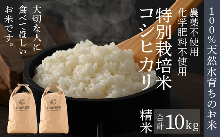 �y��s�\��z�y�ߘa8�N�Y �V�āz�ɗ^�q��_���̃R�V�q�J�� ���� 10kg ���ʍ͔|�� 5kg×2�� ���w�엿�s�g�p �����x�Ǝ��x���펞�Ǘ����V�N�Ă��o�ׁI���^ ���i�� �N�x���Q ���䌧�����Y �u