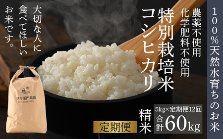 ys\zyߘa8NY Vāzs12tɗ^q_̃RVqJ  5kg iv60kgjʍ͔| w엿sgp xƎx펞ǗVNĂoׁI^ i NxQ 