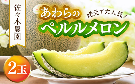[先行予約]ペルルメロン 3L 2玉入(1.7kg以上×2玉)糖度16度以上!/ 1株1果 大玉 青肉 メロン 果物 フルーツ ギフト 農家直送 ※2025年6月下旬より順次発送 [aw045-a001]
