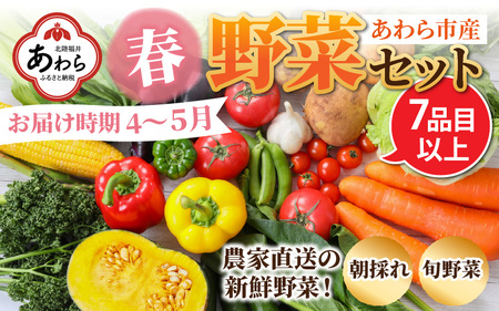 農家直送 春野菜セット 1箱 7品目以上 [元気に育った新鮮野菜!]/ 季節 春 野菜 ボックス BOX セット セレクト 農家 おまかせ 多品目 旬 詰め合わせ