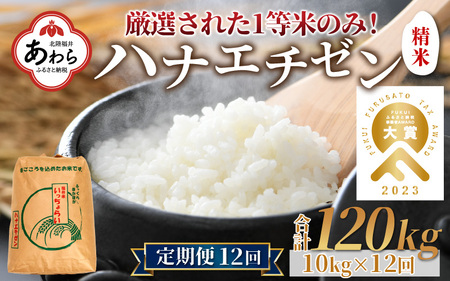 【先行予約】【一等米】令和6年産 ＜定期便12回＞ ハナエチゼン 精米 10kg×12回（120kg）《発送直前精米！》《発送直前精米！》 ／ ブランド米 華越前 ご飯 お米 白米 新鮮 あわら市産 農家直送 大賞 受賞 新米 ※2024年9月上旬以降順次発送予定