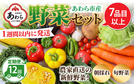 【12ヶ月連続お届け】農家直送 旬の野菜セット 7品目以上 1箱 ／ 定期便 12回 季節 野菜 ボックス BOX セット セレクト 農家 おまかせ 多品目 旬 詰め合わせ 根菜 葉物