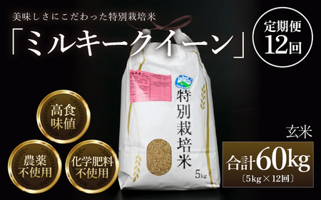 �y��s�\��z�y�ߘa8�N�Y �V�āz����ցs12�����A�����͂��t ���ʍ͔|�� �~���L�[�N�C�[�� ���� 5kg �i�v60kg�j �_��s�g�p ���w�엿�s�g�p �^ ���i�� �N�x���Q ���䌧�Y �u�����h�� �����Y