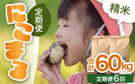 �y�ߘa7�N�Y �V�āz����ցs6�����A�����͂��t���� �ɂ��܂� 5kg×2�� 10kg�i�v60kg�j����_��͔|�� �^ ���i�� �N�x���Q ���䌧 �����s�Y �u�����h�� ���� ���� �� [aw066-k002]