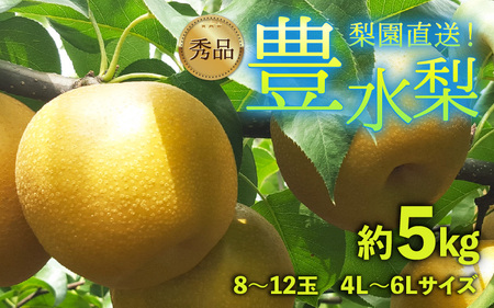 ys\z엜̖L 8`12ʓ 5kg  4L`6LyGizsʌtI / Ԍ ʕ t[c _ƒ VLVL  {  2025N9{菇