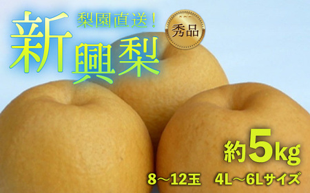 ys\z엜̐V 8`12ʓ 5kg  4L`6LyGizsʌtI  / Ԍ ʕ t[c _ƒ VLVL  {  2026N10{菇
