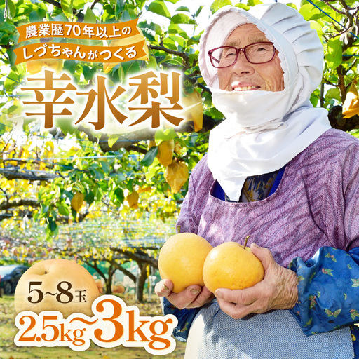 [先行予約] 農業歴70年以上!しづちゃんが作る幸水梨 5〜8玉入(2.5〜3kg)/ なし 果物 旬 フルーツ 甘い ジューシー 果汁 くだもの シャキシャキ 人気 完熟 もぎたて みずみずしい 越前梨 送料無料 福井 あわら市 ※2026年8月中旬以降順次発送予定 [aw075-a006]