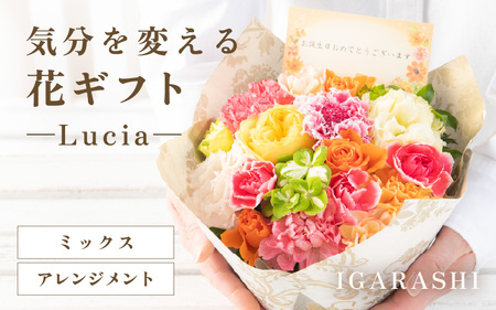 気分を変える花ギフト -Lucia- (アレンジメント・ミックス)/ 誕生日 母の日 父の日 クリスマス 結婚祝い 結婚記念日 サプライズ お祝い アレンジメント 花束 プレゼント 贈り物 フラワーアレンジメント フラワーギフト 生花 お花 花屋 [aw062-a002_01]