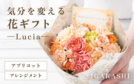気分を変える花ギフト -Lucia- (アレンジメント・アプリコット)/ 誕生日 母の日 父の日 クリスマス 結婚祝い 結婚記念日 サプライズ お祝い アレンジメント 花束 プレゼント 贈り物 フラワーアレンジメント フラワーギフト 生花 お花 花屋 [aw062-a002_05]