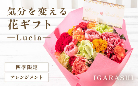 気分を変える花ギフト -Lucia- (アレンジメント・四季限定アイテム)/ 誕生日 母の日 父の日 クリスマス 結婚祝い 結婚記念日 サプライズ お祝い アレンジメント 花束 プレゼント 贈り物 フラワーアレンジメント フラワーギフト 生花 お花 花屋 [aw062-a002_09]