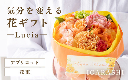 気分を変える花ギフト -Lucia- (花束・アプリコット)/ 誕生日 母の日 父の日 クリスマス 結婚祝い 結婚記念日 サプライズ お祝い アレンジメント 花束 プレゼント 贈り物 フラワーアレンジメント フラワーギフト 生花 お花 花屋 [aw062-a002_06]