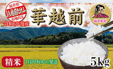 令和6年度産「華越前(ハナエチゼン)」 5kg [7月中旬頃お届け]
