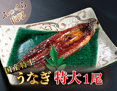 YIイȂ̂ΏĂ 250g × 1